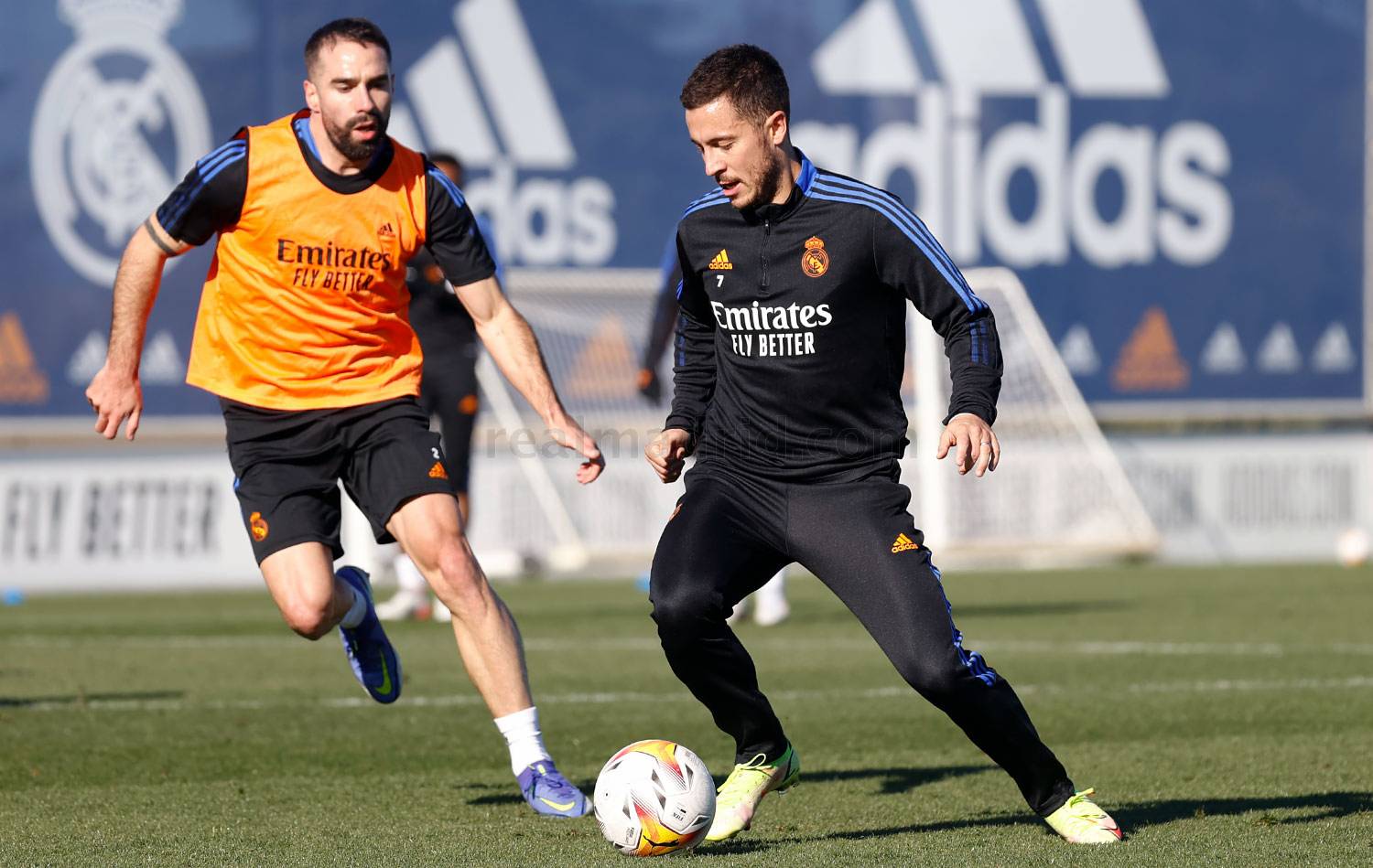 Hazard-back-to-training
